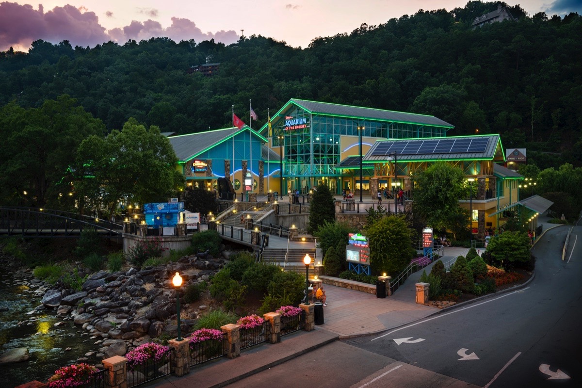 Ripley's Aquarium In The Smokies Blue Ridge Parkway
