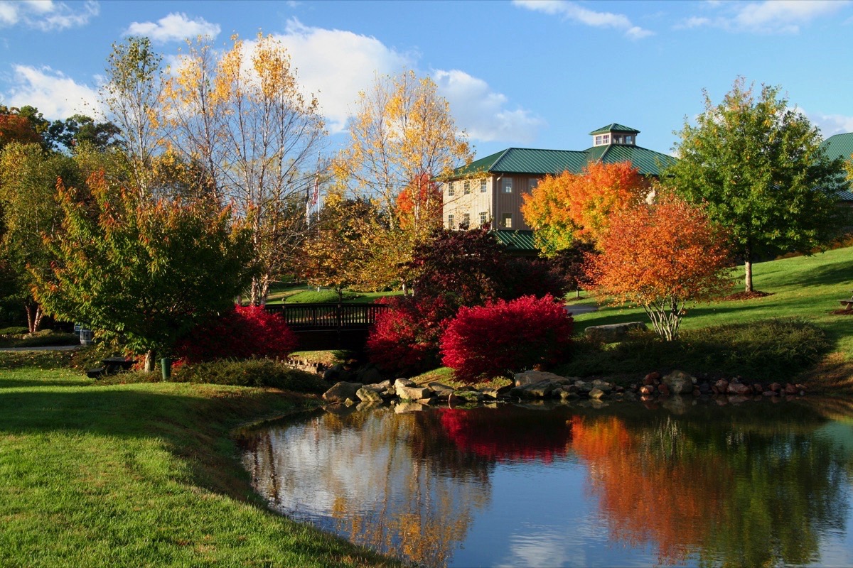 Shelton Vineyards & Harvest Grill Blue Ridge Parkway