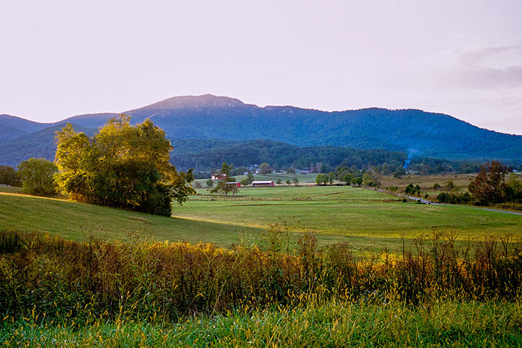 Madison Chamber of Commerce & Visitor Center Blue Ridge Parkway