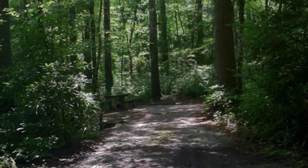 Van Hook Glade Campground Blue Ridge Parkway