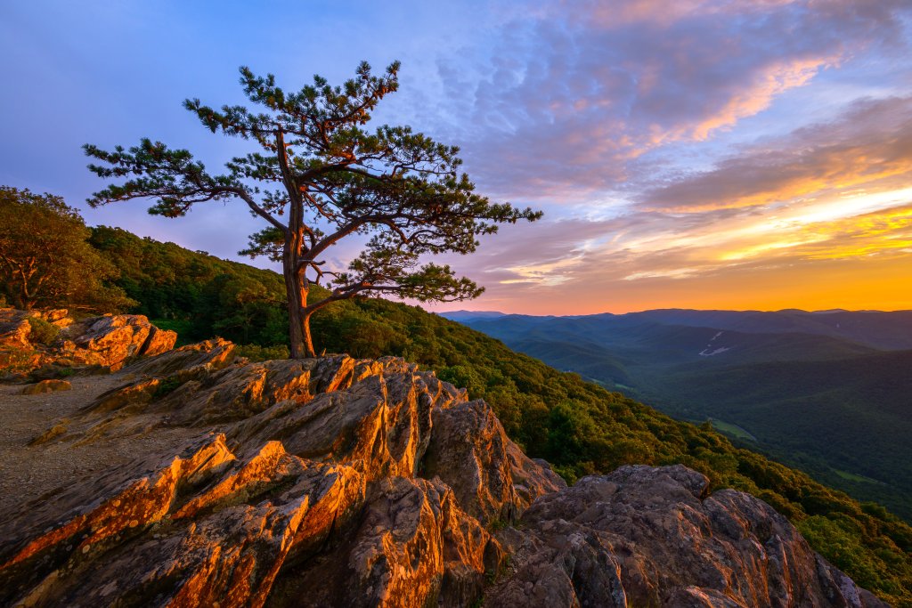 Ridge Region (MP 0–105) | Northern Blue Ridge Parkway in Virginia