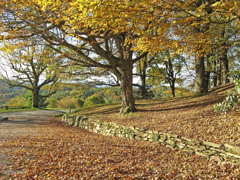 Blue Ridge Parkway Moses Cone Park