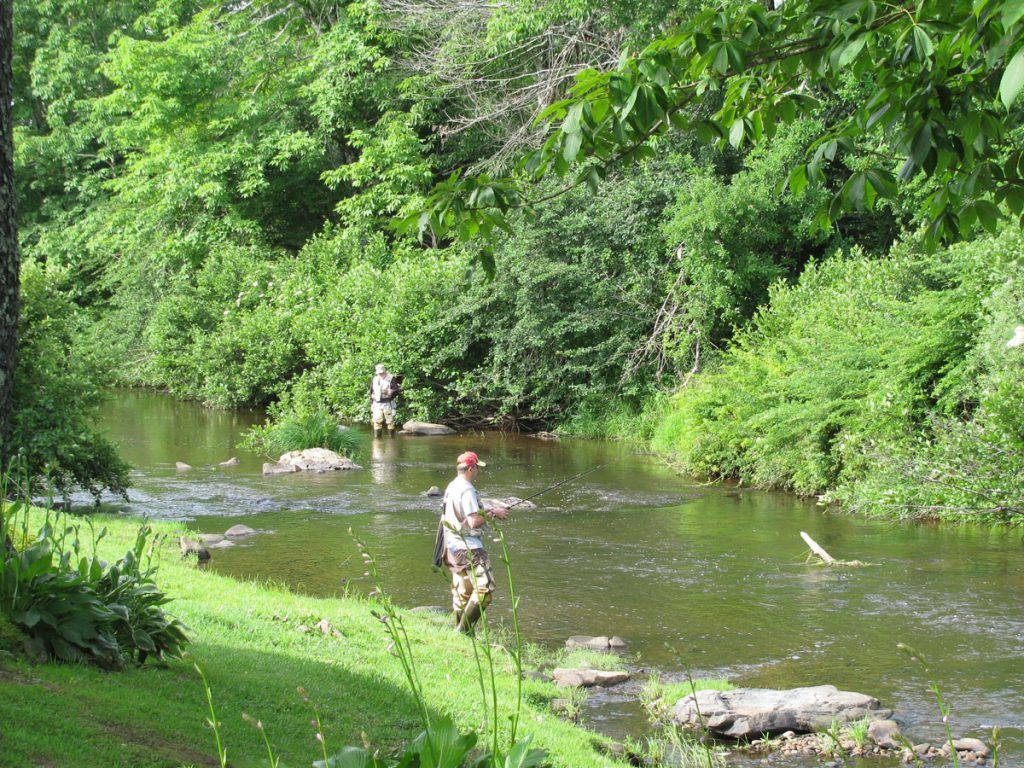 Trout Streams of Virginia: An Angler's Guide to the Blue Ridge