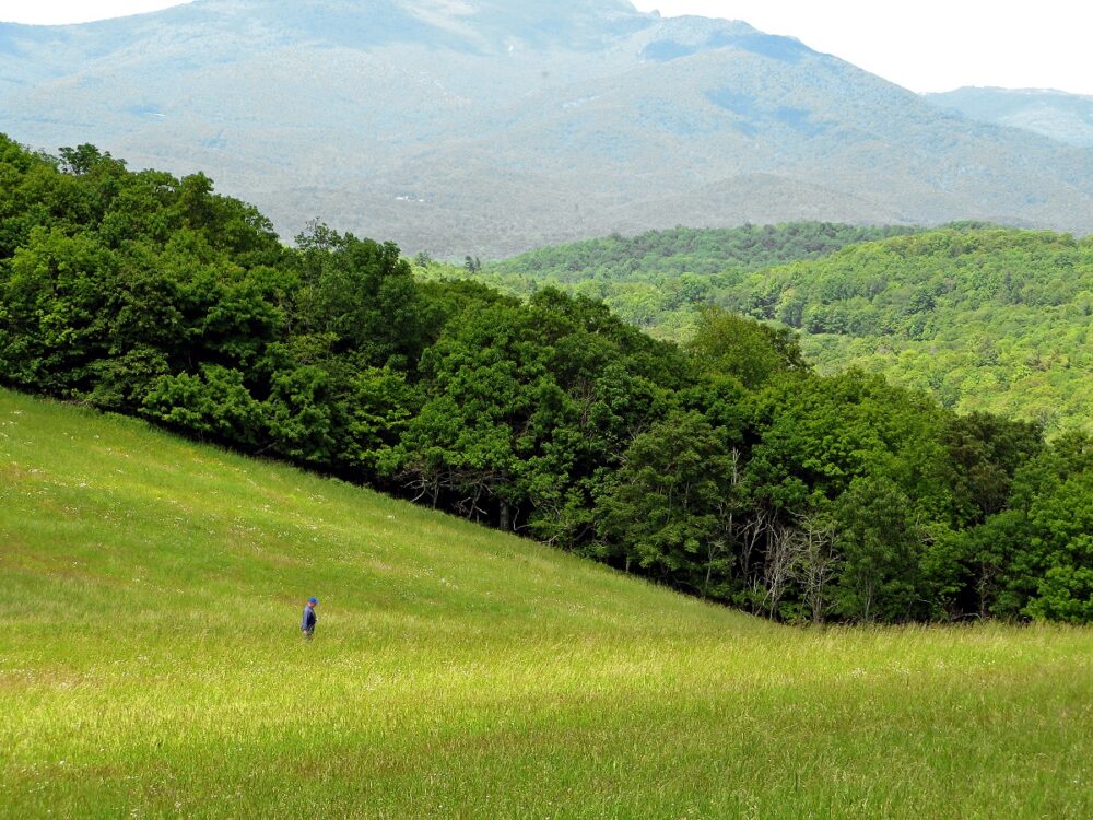 moses h cone memorial park, blue ridge parkway