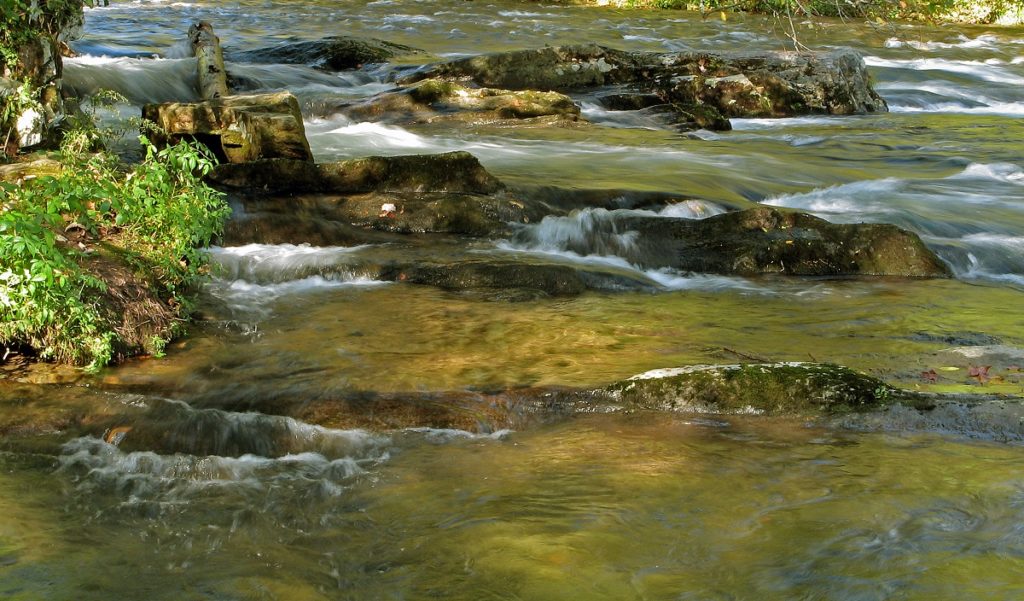 The Oconaluftee River flows over many rocks, making it a great aquatic habitat.