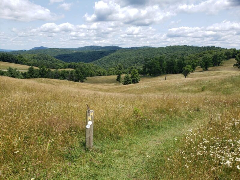 Doughton Park trail marker amid the rolling grassy terrain on a sunny summer day.