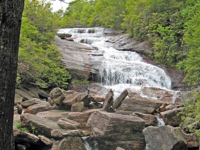 Second Falls at Graveyard Fields tumbles over a rocky streambed surrounded by leafy trees.