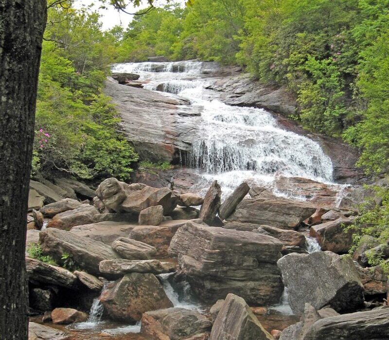 Second Falls at Graveyard Fields tumbles over a rocky streambed surrounded by leafy trees.