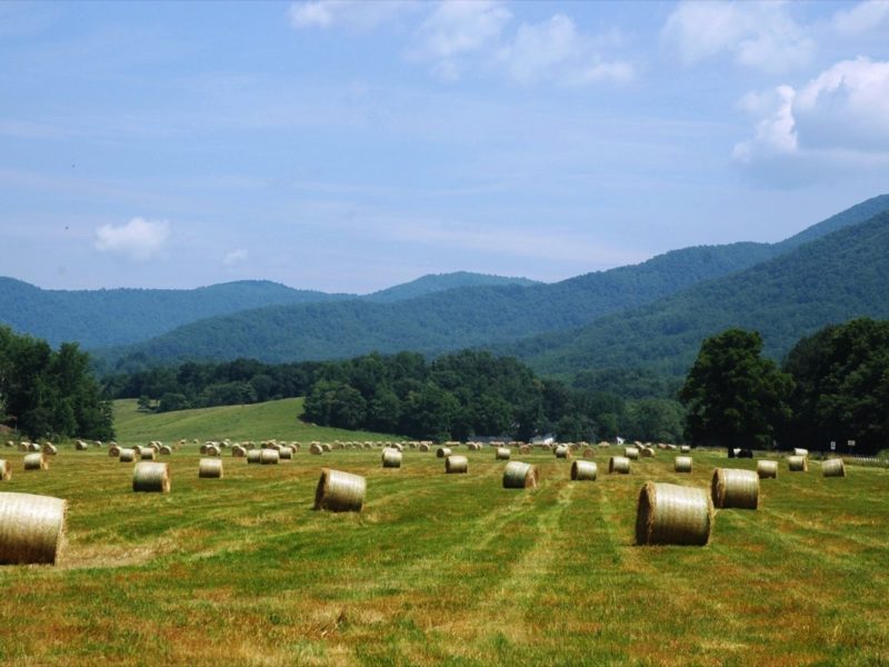 Craft Beer Archives Blue Ridge Parkway