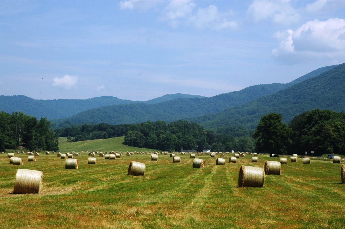 Nelson County Tourism