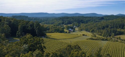 The Shenandoah Valley is dotted with vineyards and farmland interspersed with forested areas.