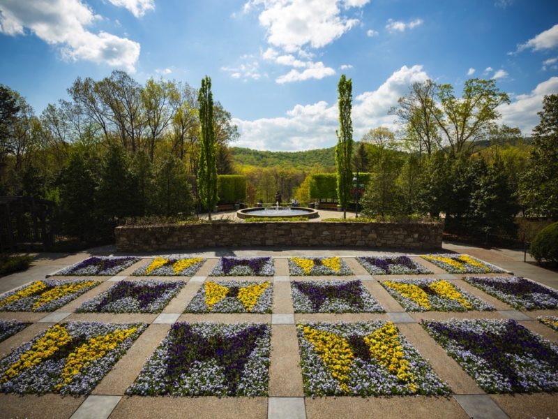 NC Arboretum