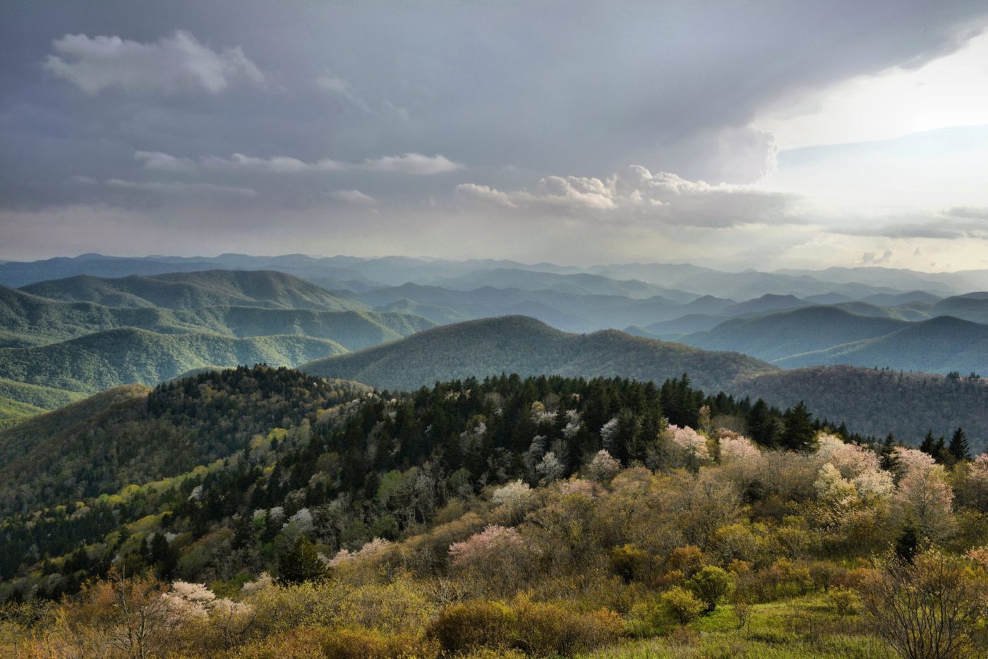 Pisgah Region photo background