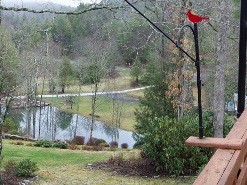 view from a cabin deck overlooking a small pond