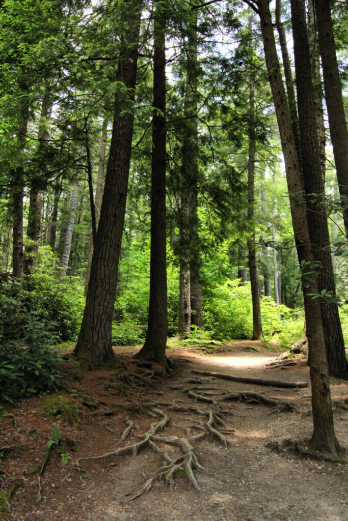 Blue Ridge Parkway Hiking