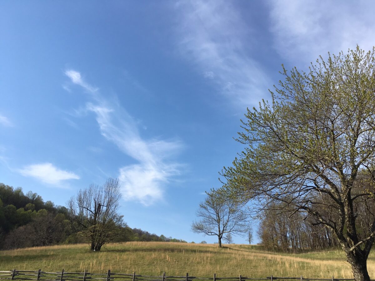 View of grassy slope from Peaks of Otter Lodge
