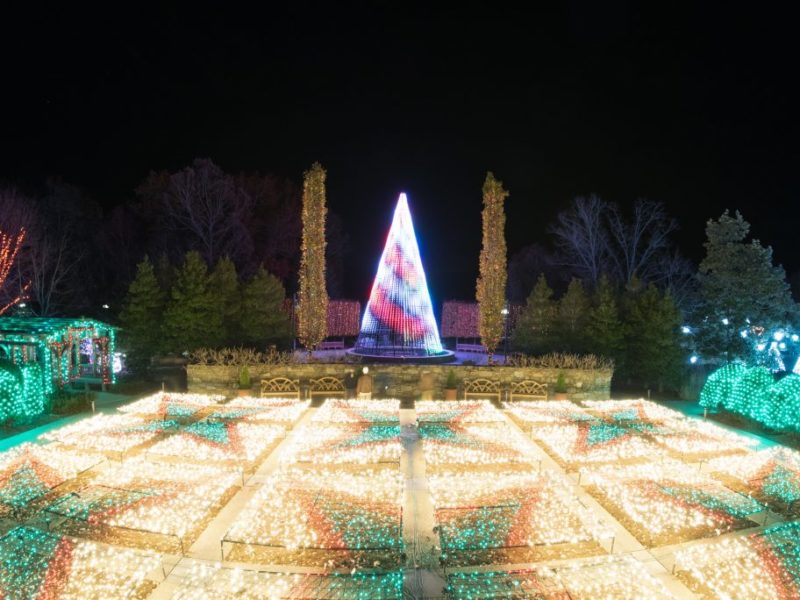 Winter lights in the shape of quilt squares are brightly lit at night at the North Carolina Arboretum.