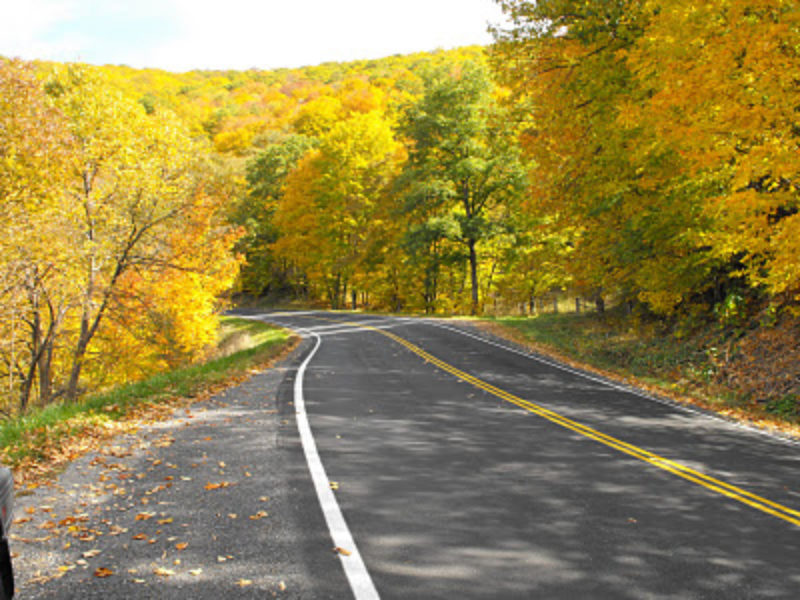 Golden foliage lines a two-lane road perfect for motorcycle travel.