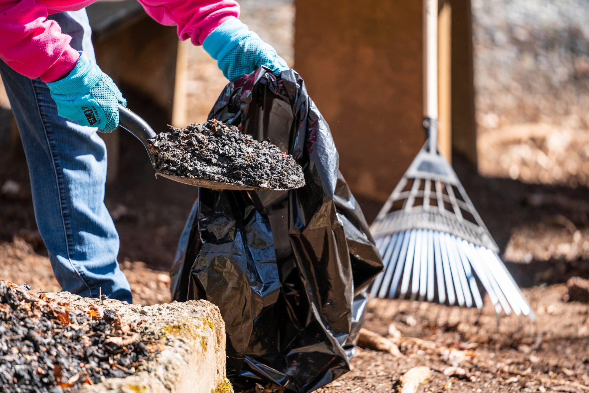A gloved volunteer scoops a shovel full of debris into a black garbage bag at Julian Price Park.