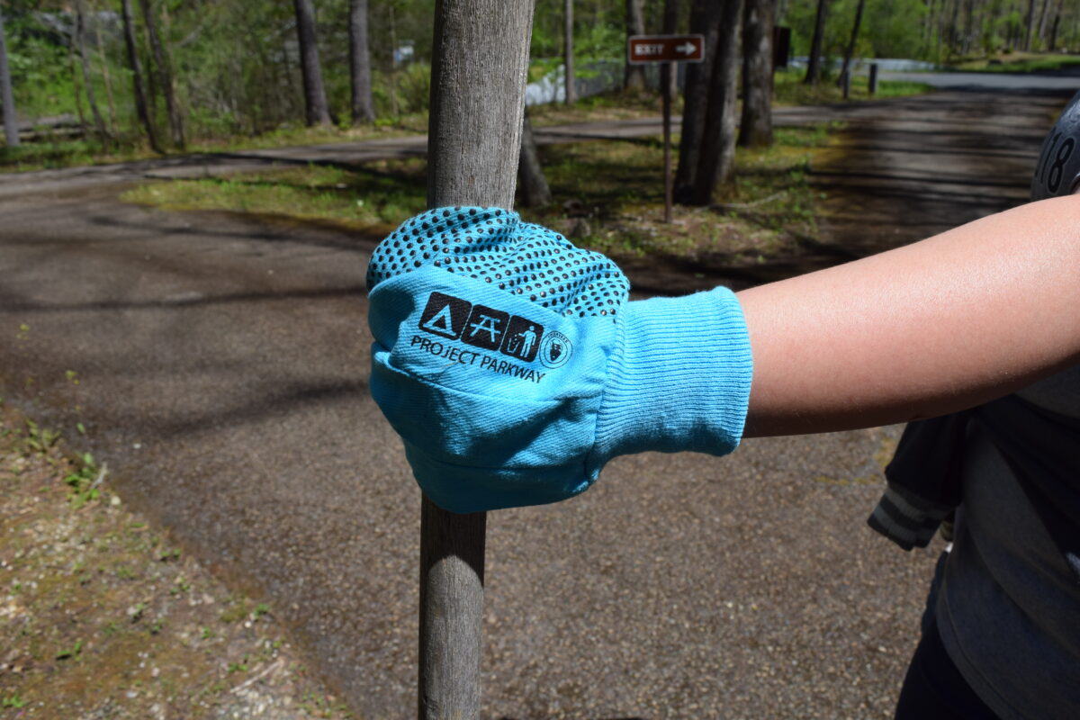 A volunteer proudly displays a hand wearing a blue Project Parkway glove.
