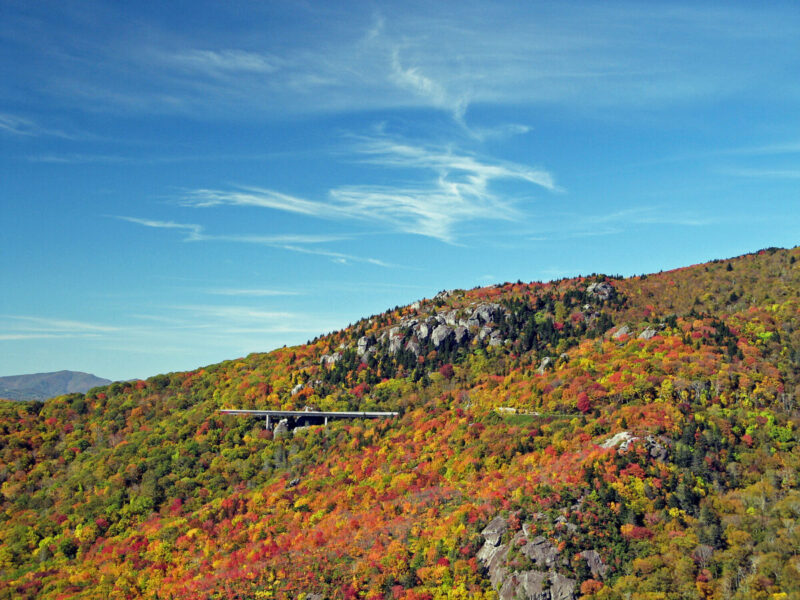 The S-curve of the Linn Cove Viaduct is visible in the distance amid a slope covered in golden Autumn leaves.