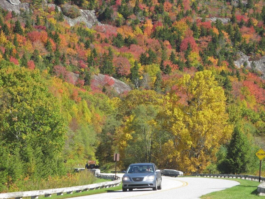 BRP in Fall at U.S. 221 by William A. Bake