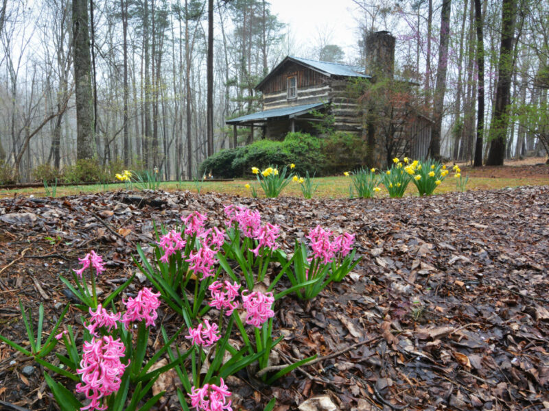 Pilot Knob Inn