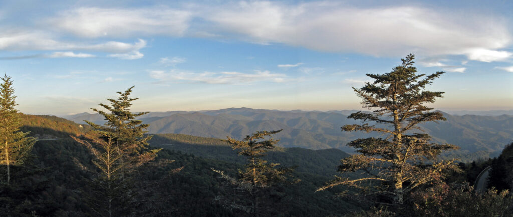 The view from Waterrock Knob reveals nearby evergreens and rows of mountains ridged in shadows in the distance.
