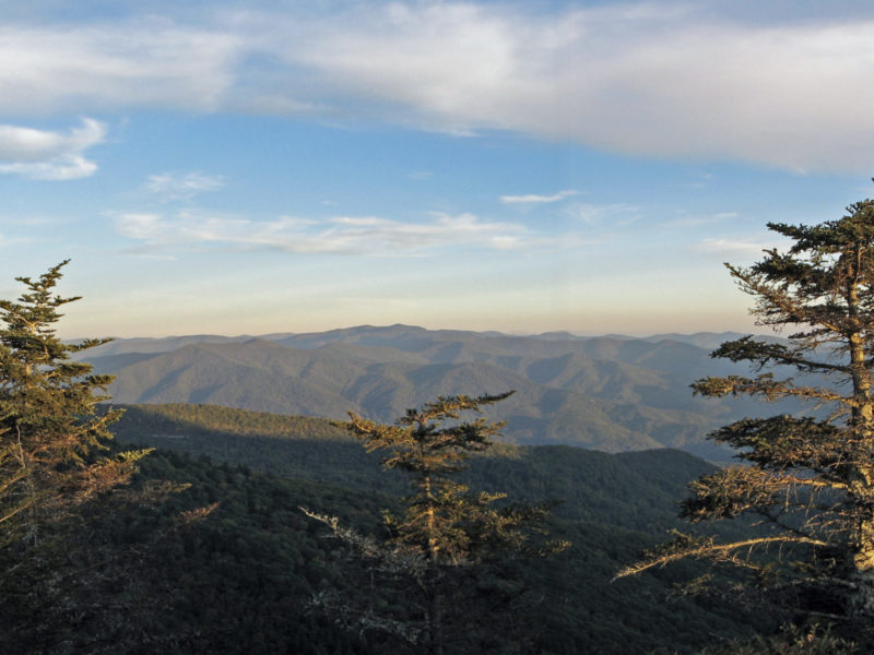The view from Waterrock Knob reveals nearby evergreens and rows of mountains ridged in shadows in the distance.