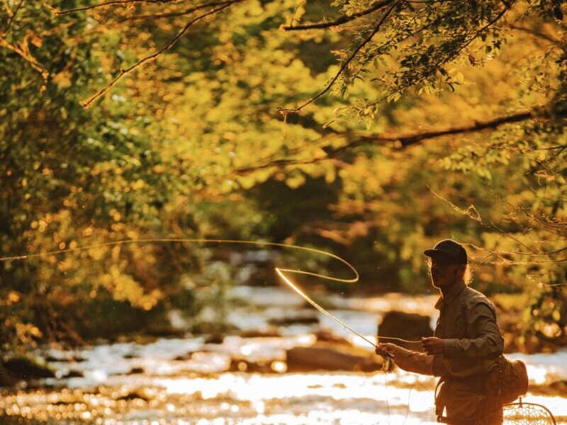 Man Fly Fishing on a river in McDowell County.