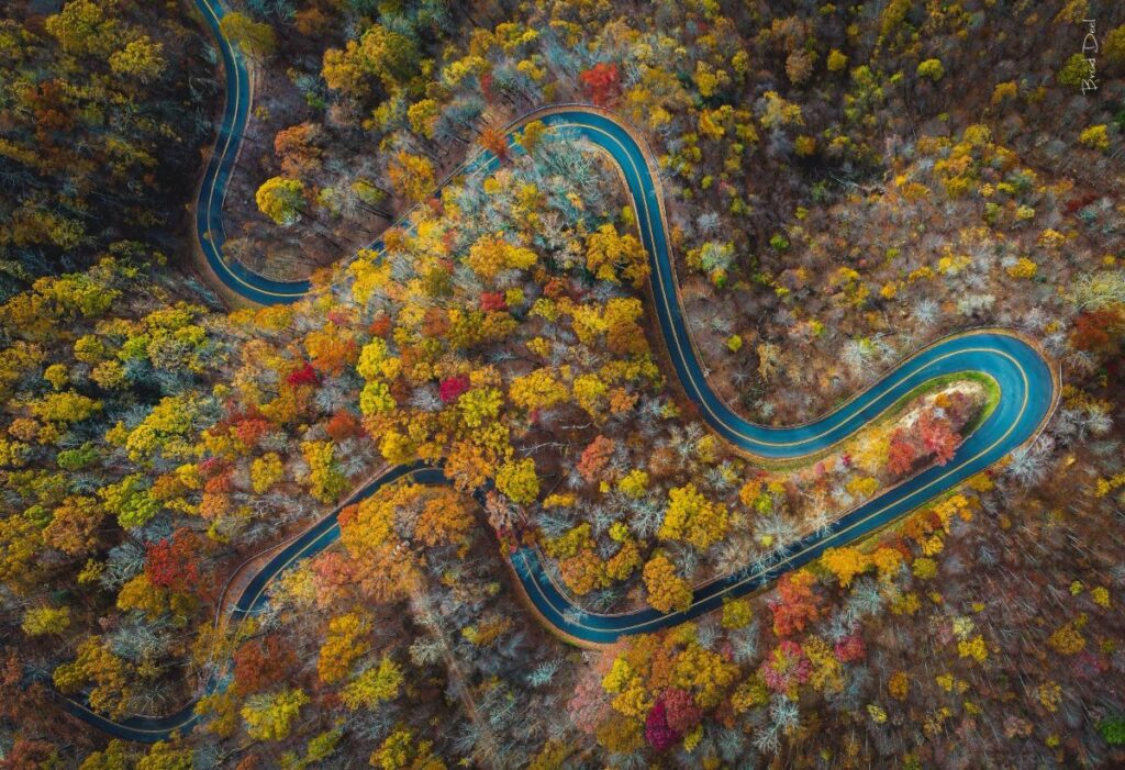Overhead view of a curvy mountain road in fall