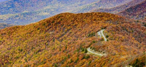 A bird's eye view of Skyline drive through the colorful autumn forest of Shenandoah National Park, Virginia.