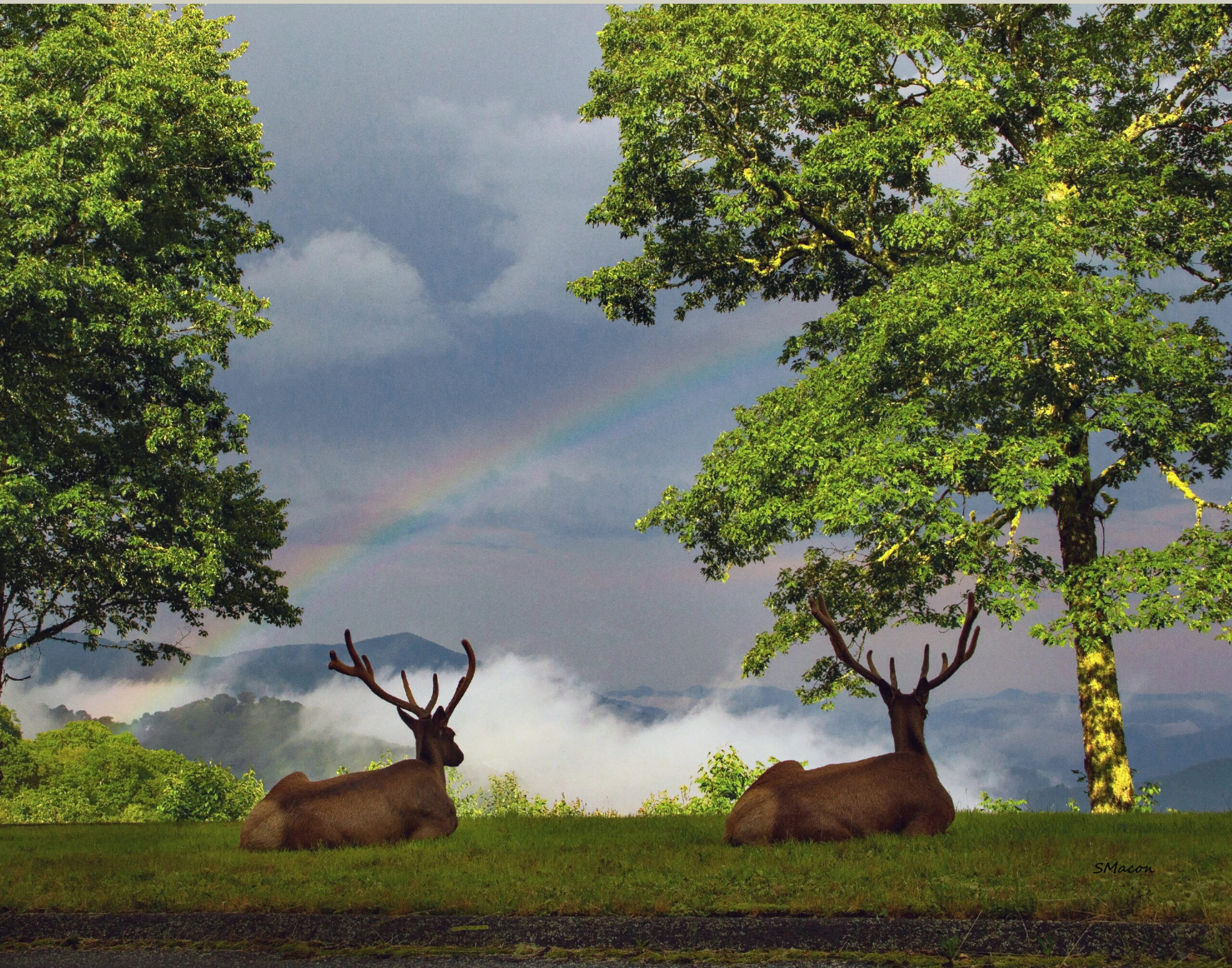 Haywood County Maggie Valley/Waynesville Blue Ridge Parkway