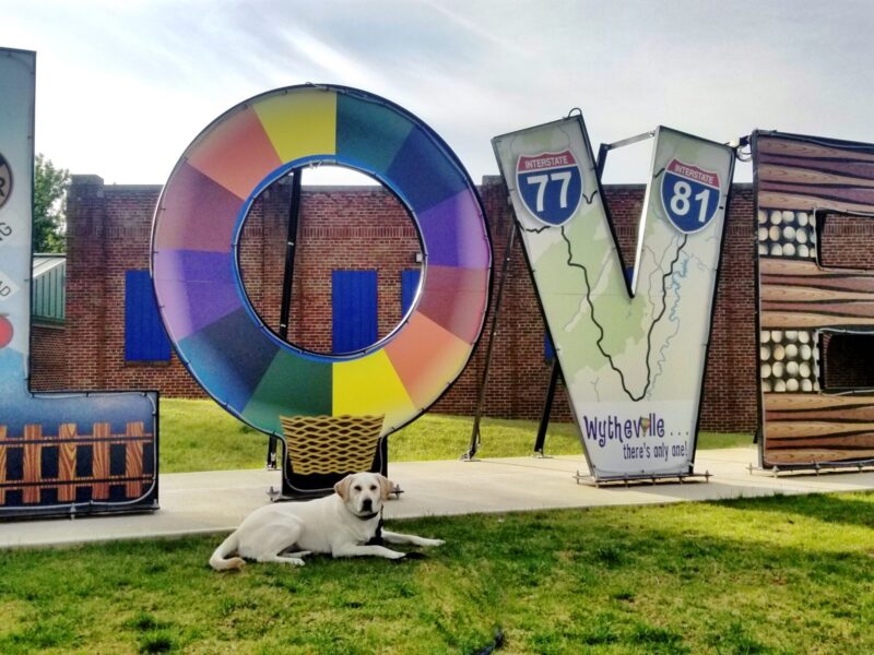 A retriever lies in front of the LOVEwork in Wytheville which highlights trains, hot air balloons and the town's location at the crossroads of I-77 and I-81.