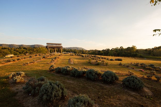 Rolling farmland in Montgomery County