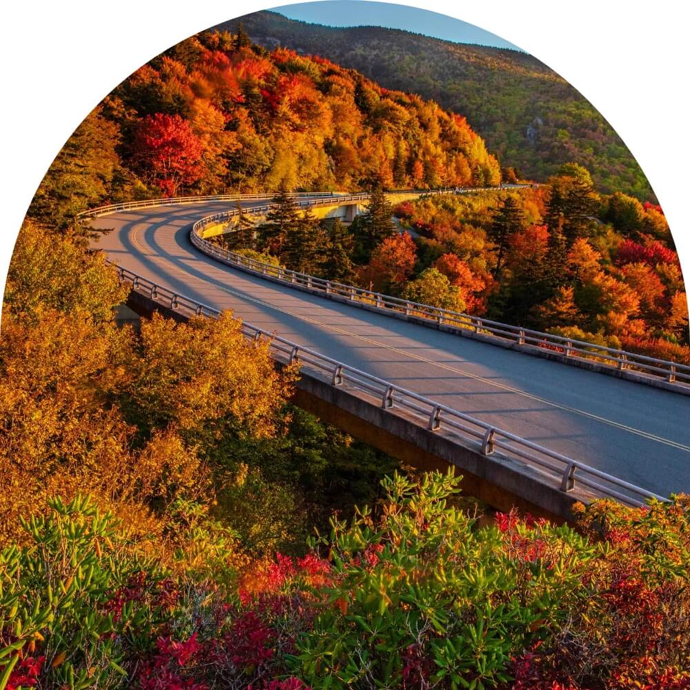 a paved road is surrounded by peak fall colors in sunset light