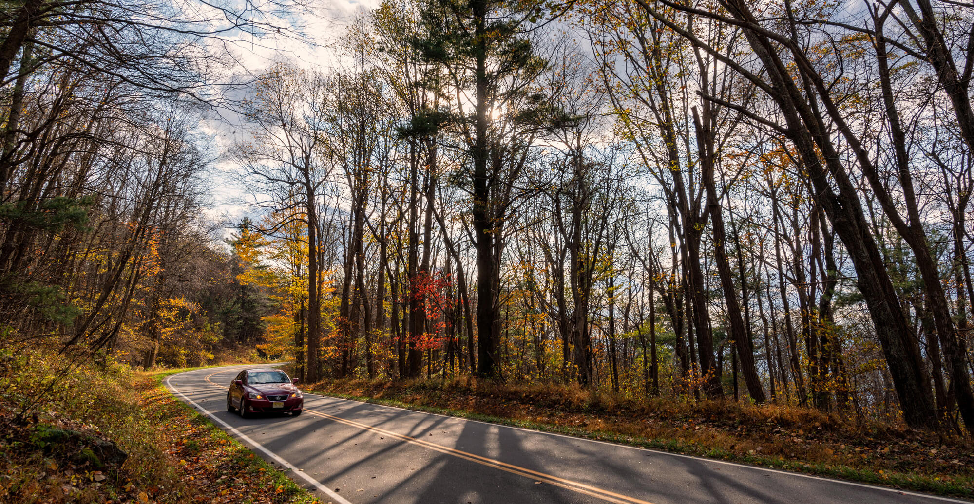 a maroon car drives on a paved road through a forest that has mostly lost it's leaves