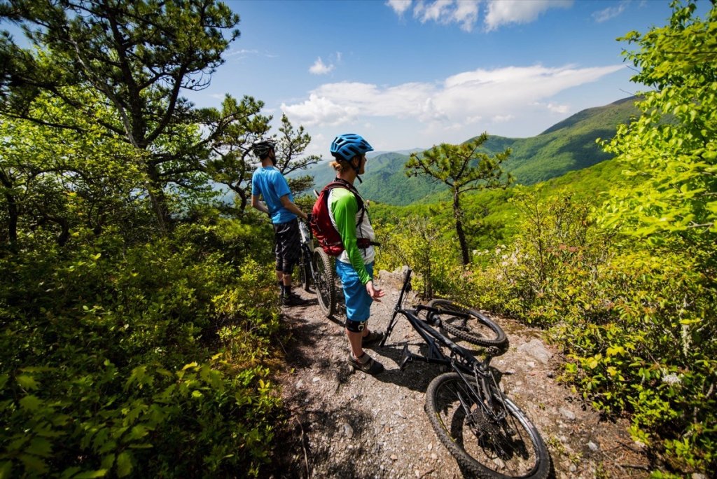 Blue Ridge Traveler: Towns & Trails of McDowell County