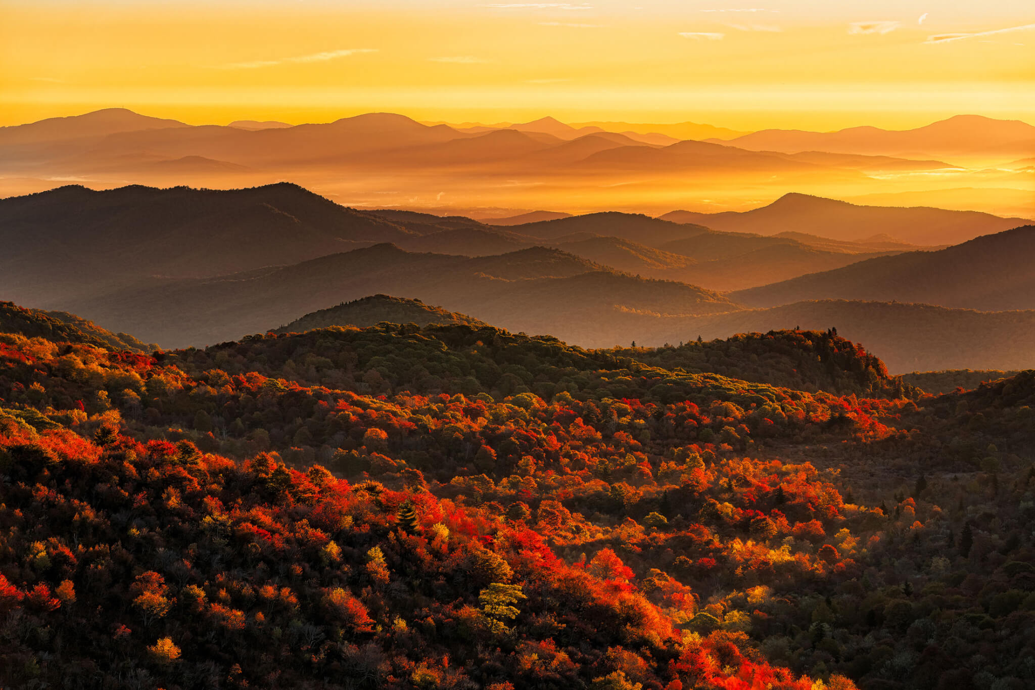the golden light of sunset shines over forested mountains with low-lying fog in peak fall colors