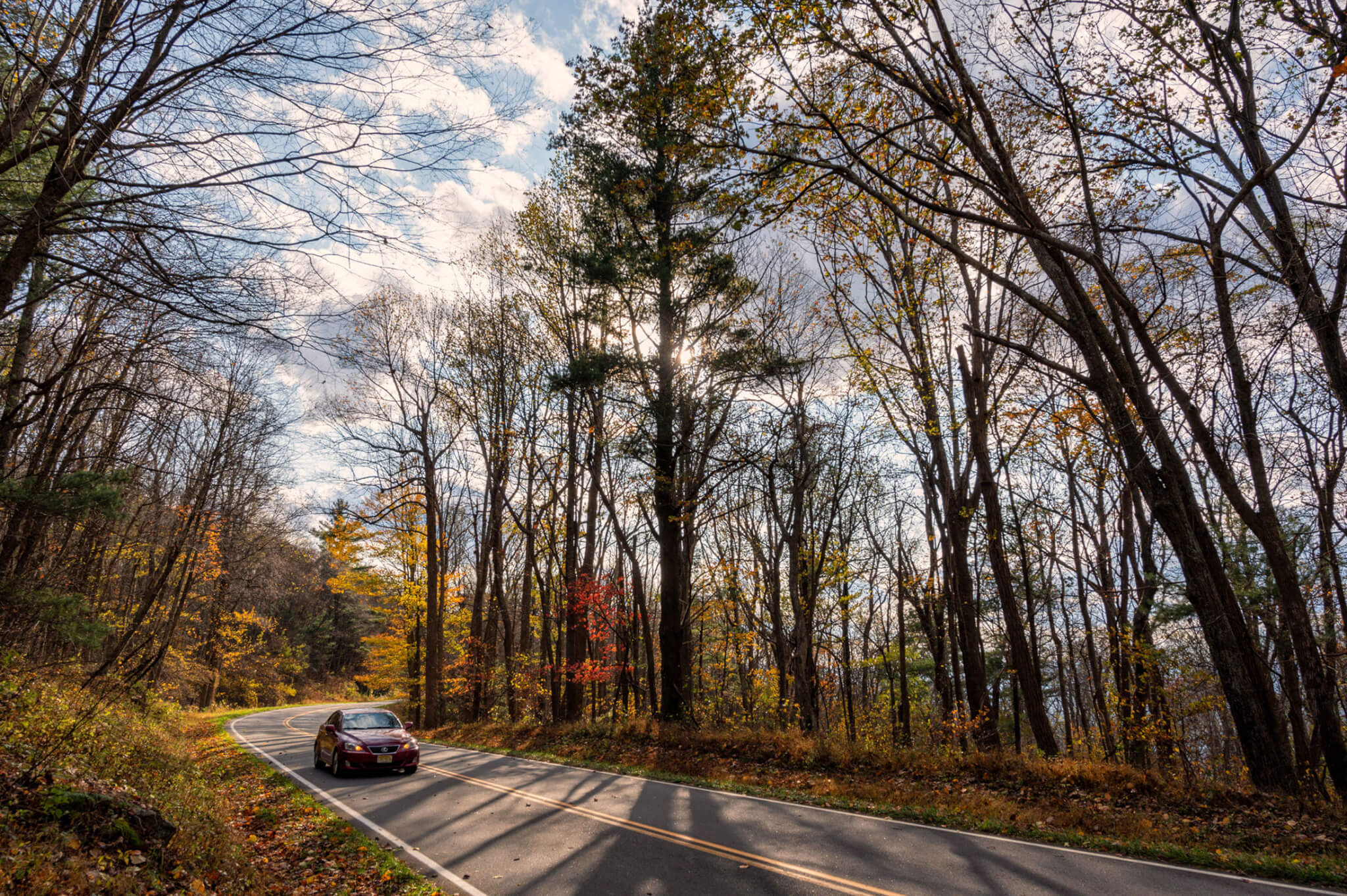 a car drives on the blue ridge parkway after the leaves have fallen