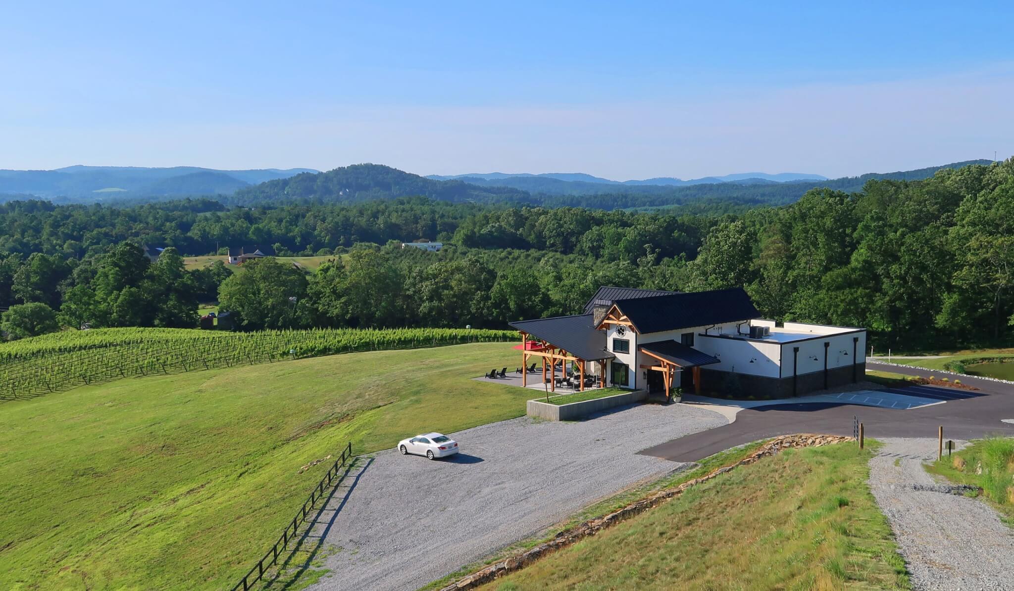 Stone Ashe Vineyard with the mountains as a backdrop