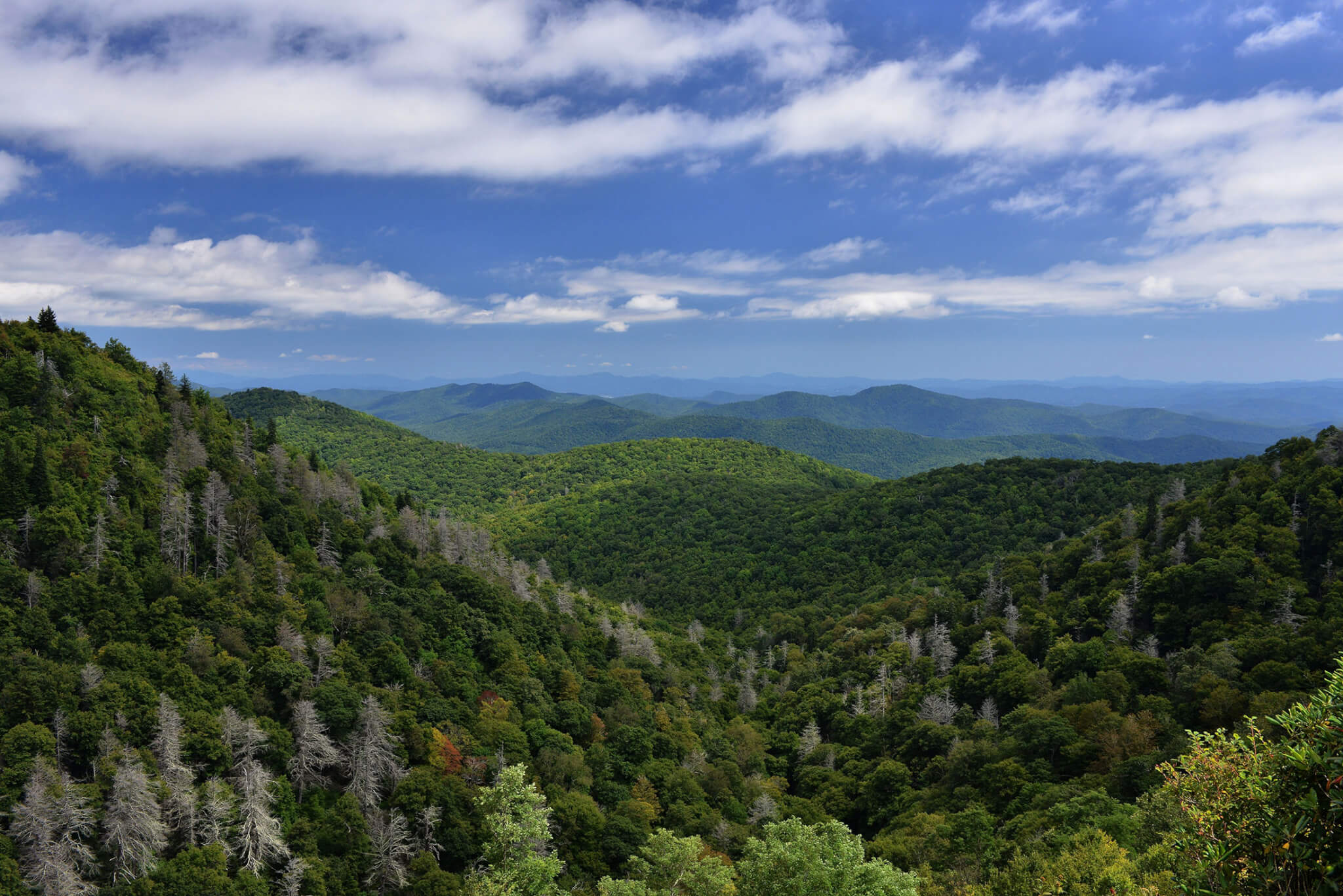 forested mountains on a cloudy day