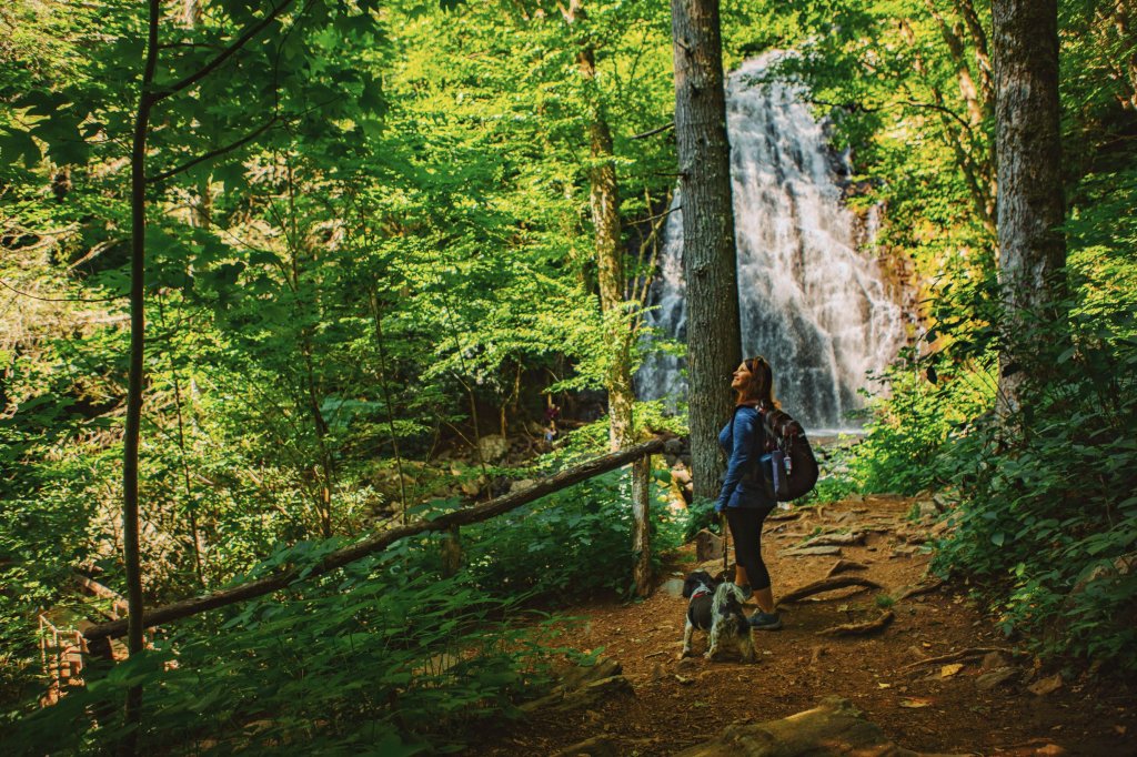 Woman walking dog in front of Crabtree Falls in North Carolina